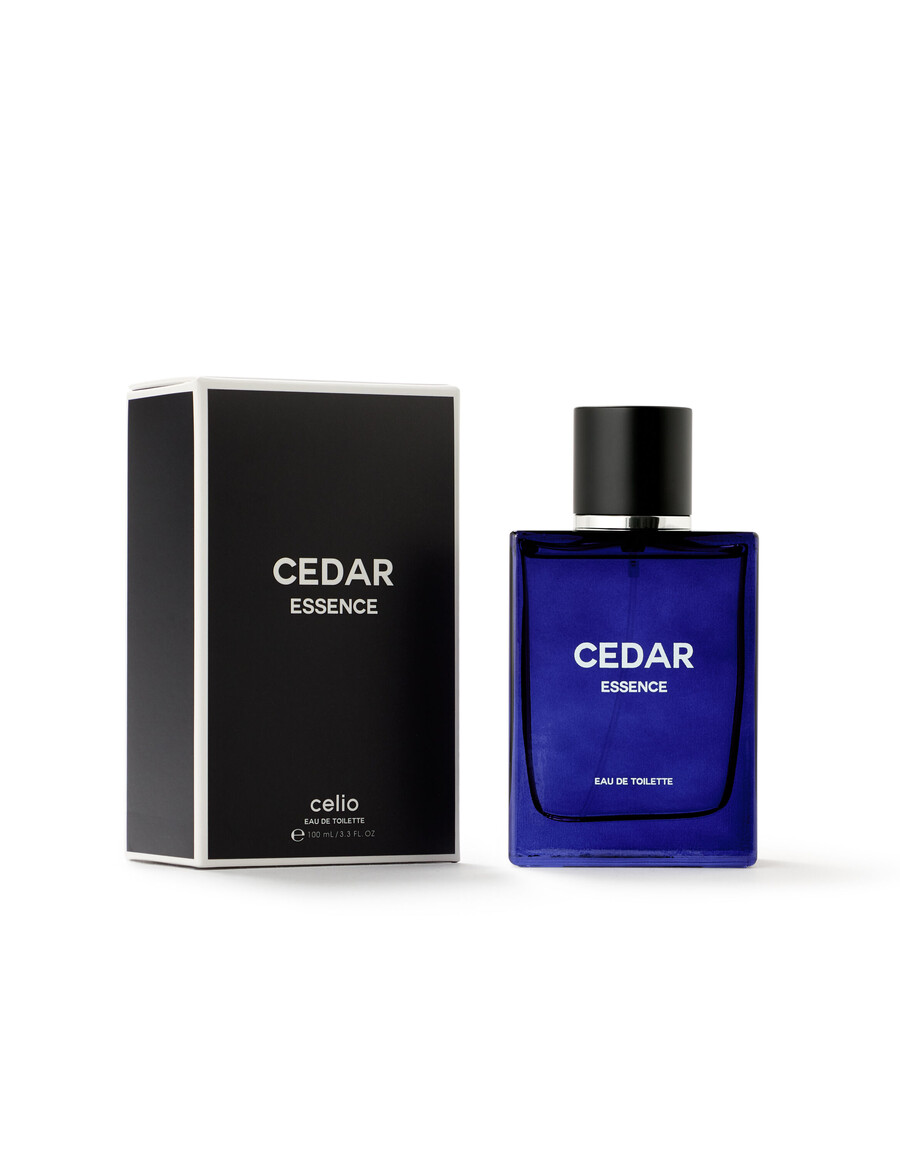 cedro