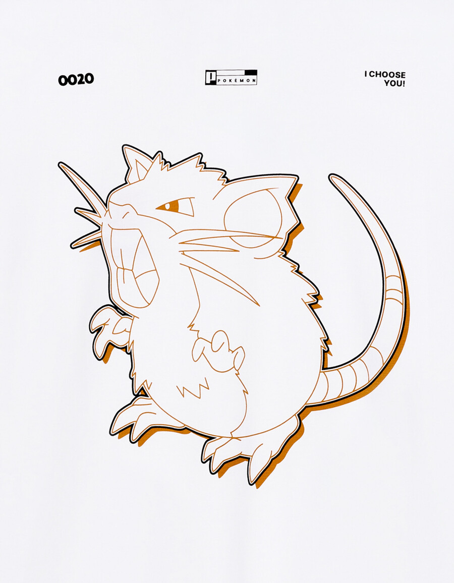 pokémon