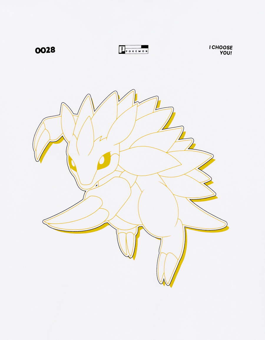 pokémon