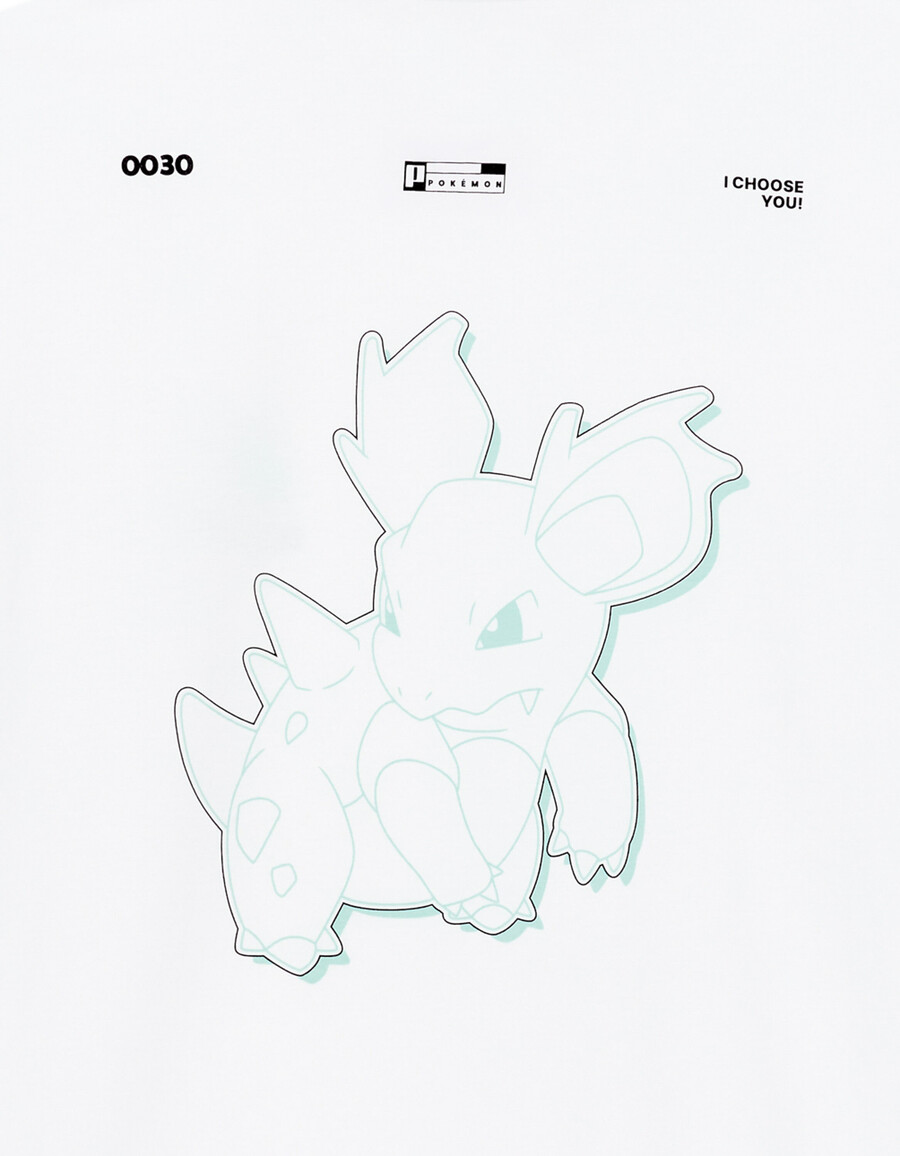 pokémon