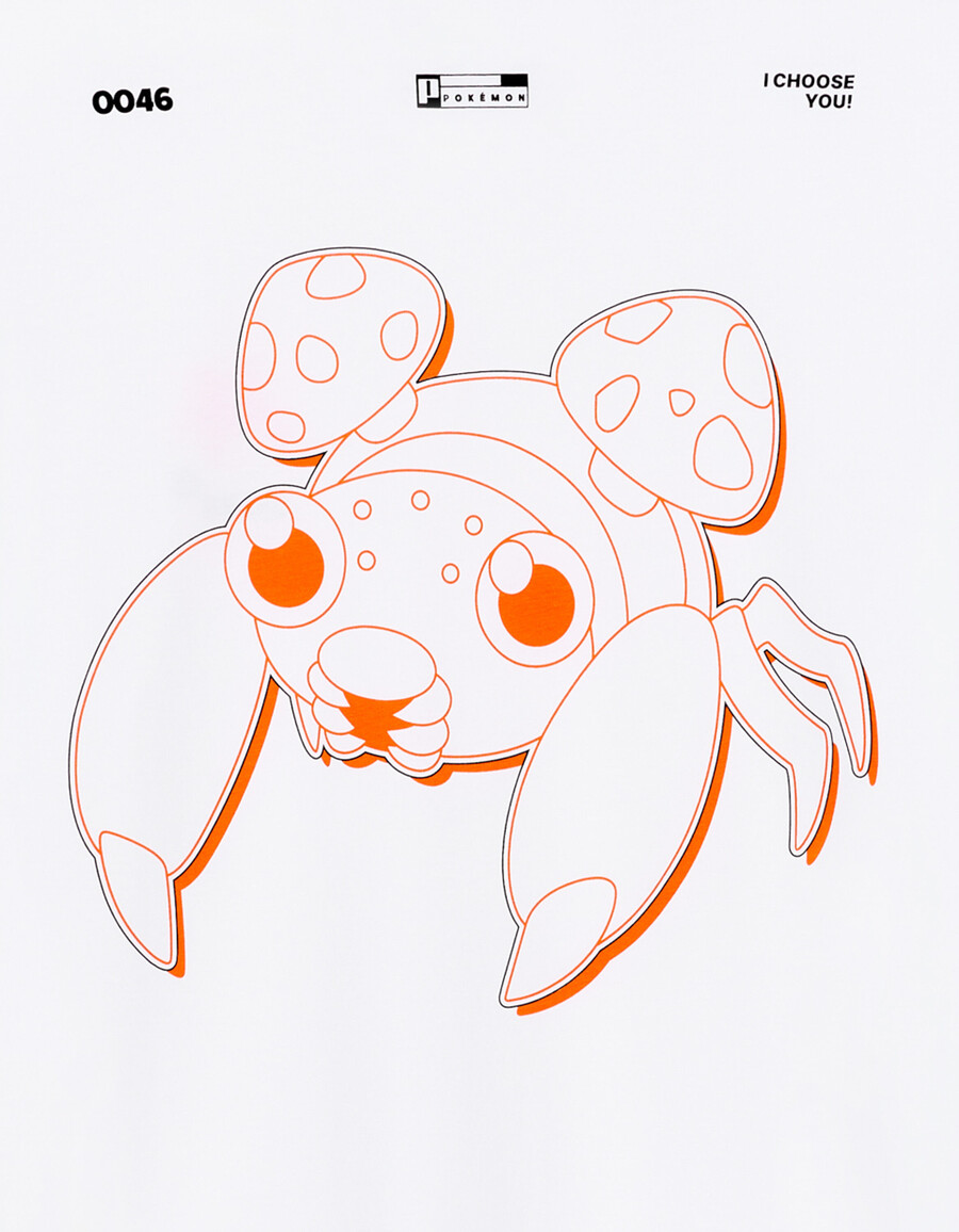 pokémon