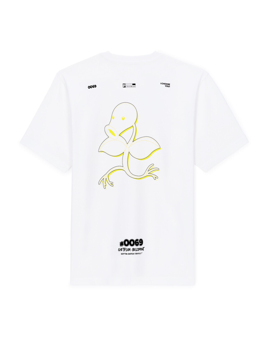 pokémon