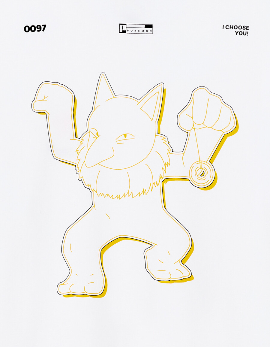 pokémon