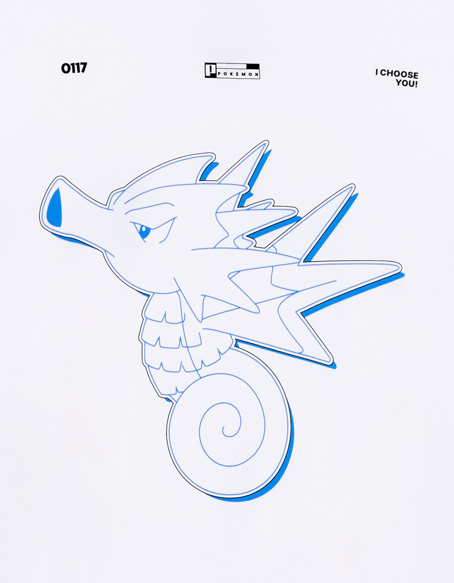 pokémon