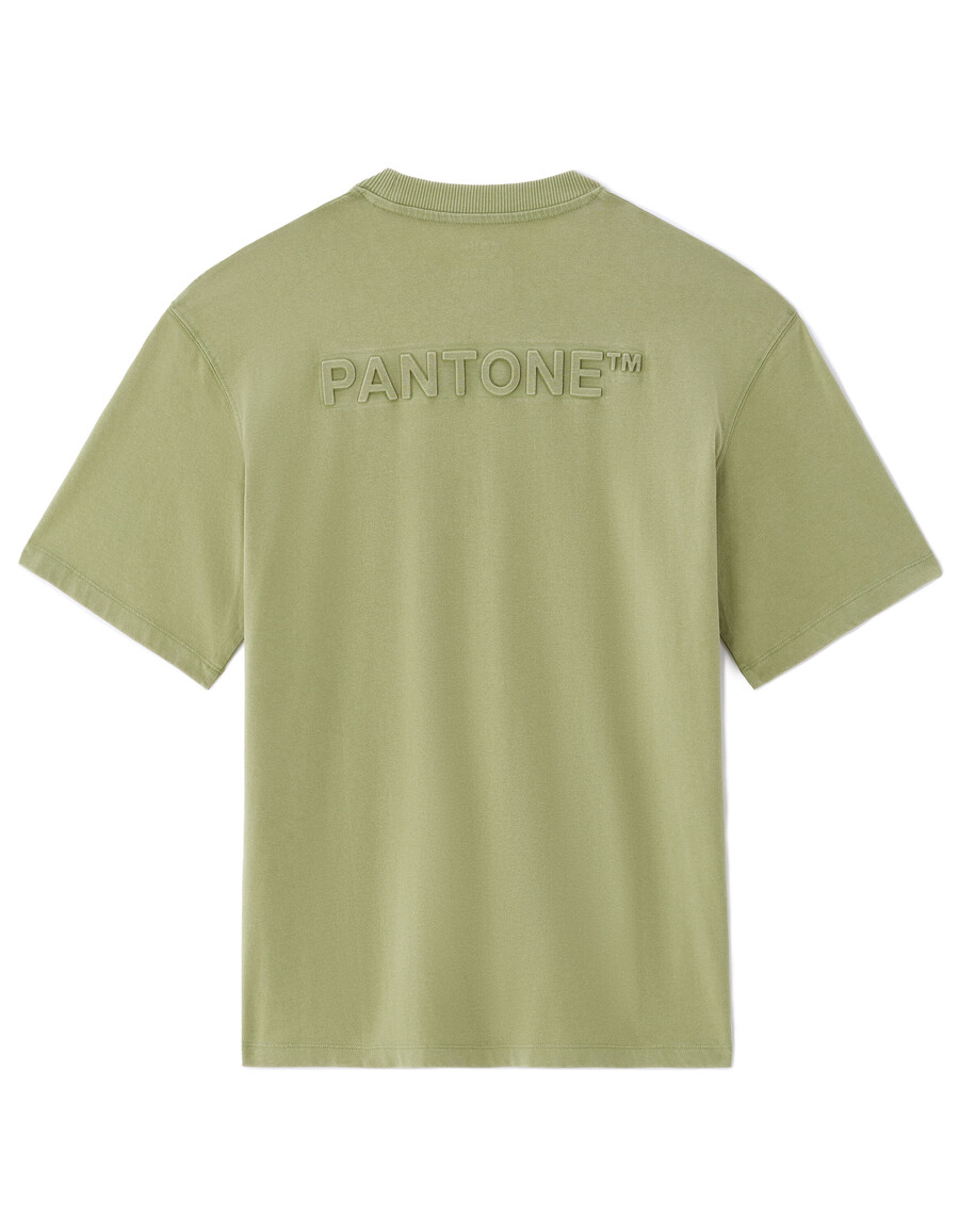 pantone