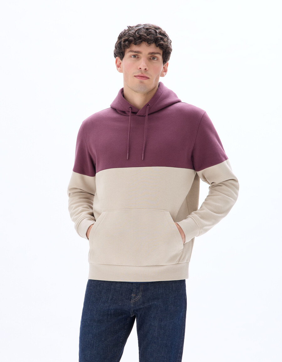 sudadera con capucha y bloques de color regulares