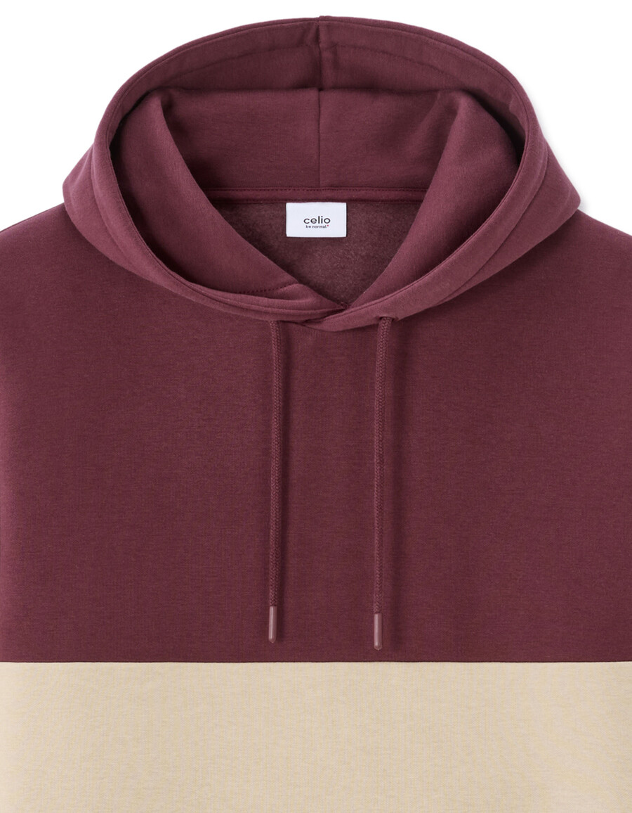 sudadera con capucha y bloques de color regulares